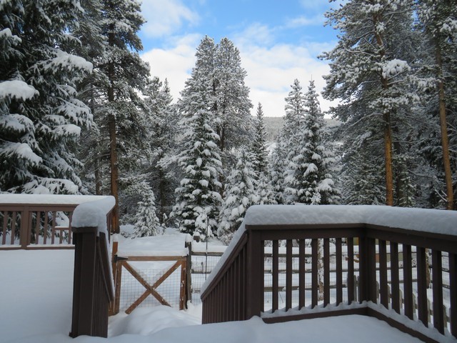 464 Wilderness Drive Breckenridge CO 80424