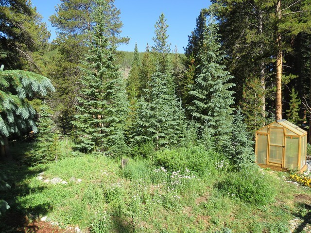 464 Wilderness Drive Breckenridge CO 80424