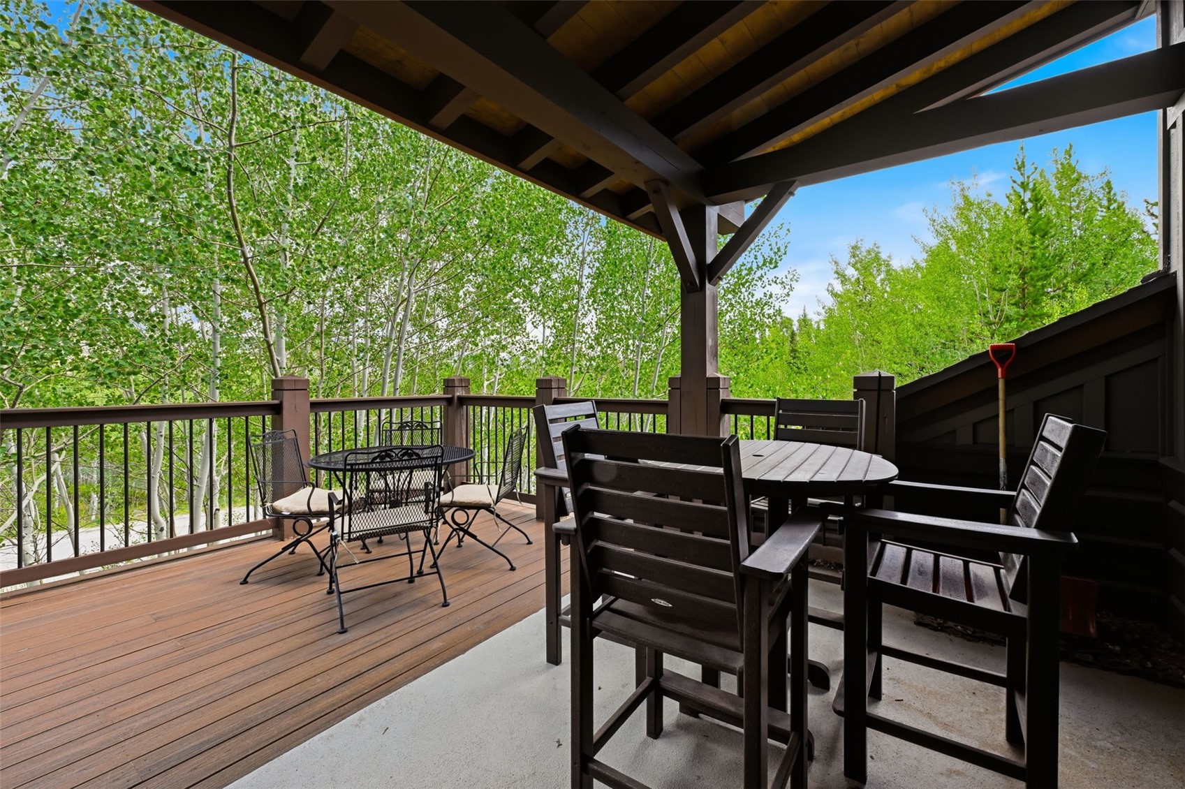 115 Arnica Lane Silverthorne CO 80498