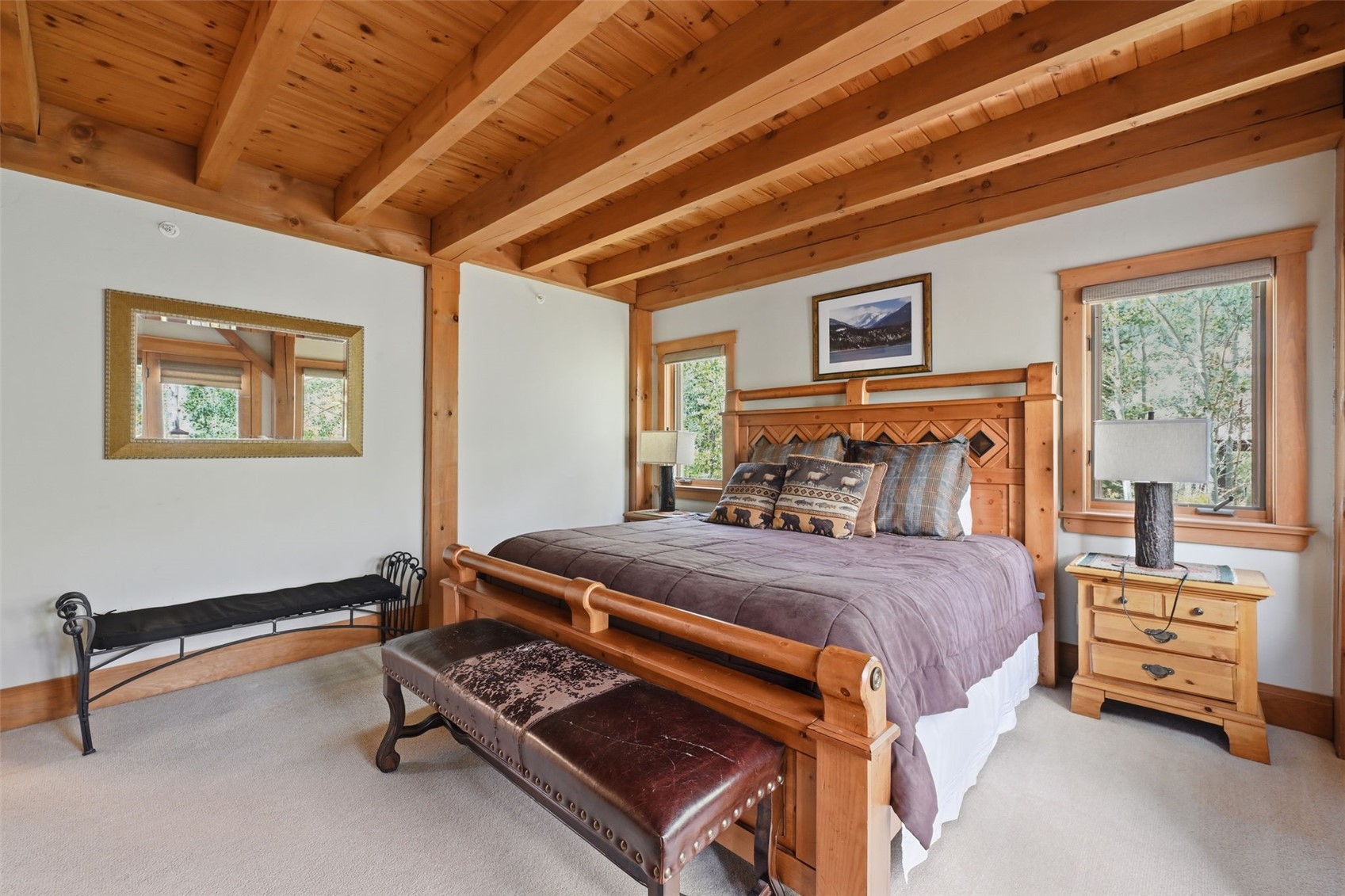 115 Arnica Lane Silverthorne CO 80498