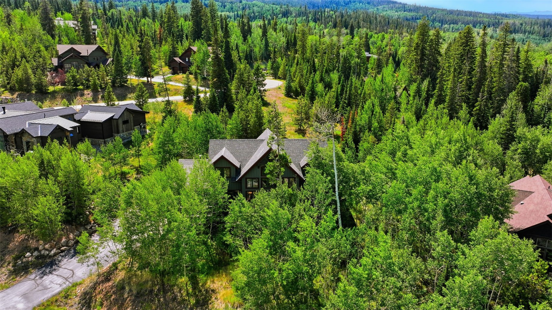 115 Arnica Lane Silverthorne CO 80498