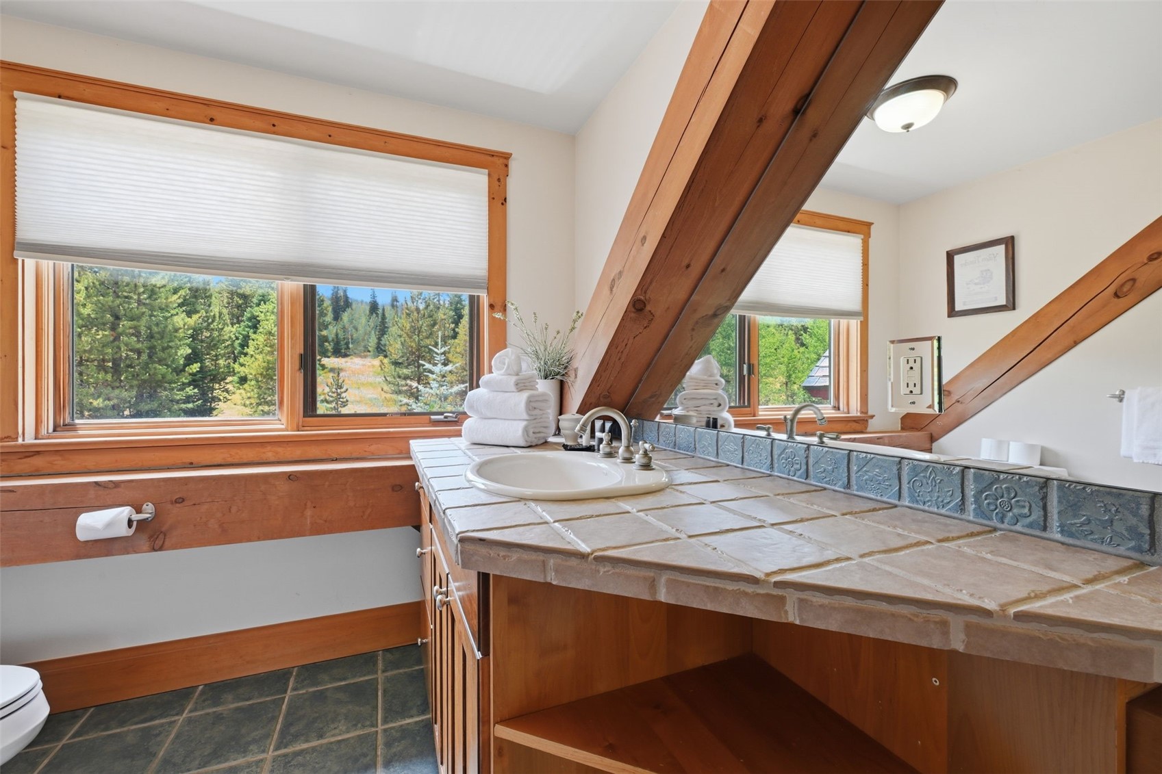 115 Arnica Lane Silverthorne CO 80498