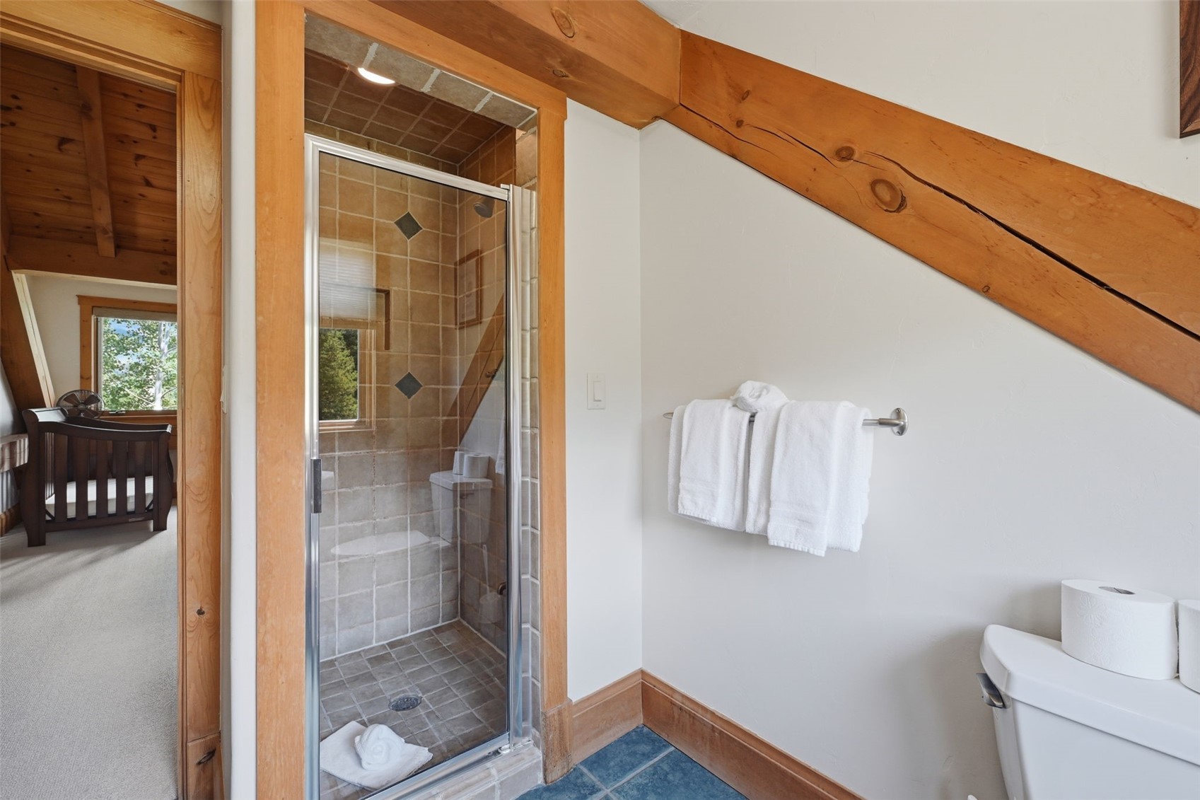 115 Arnica Lane Silverthorne CO 80498