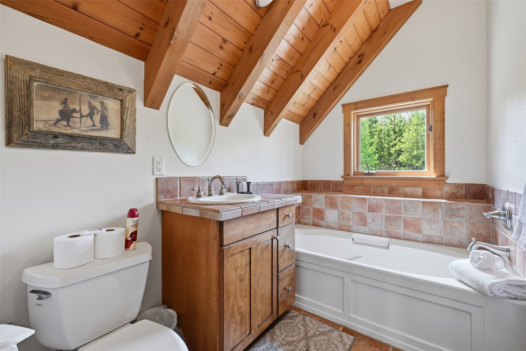 115 Arnica Lane Silverthorne CO 80498