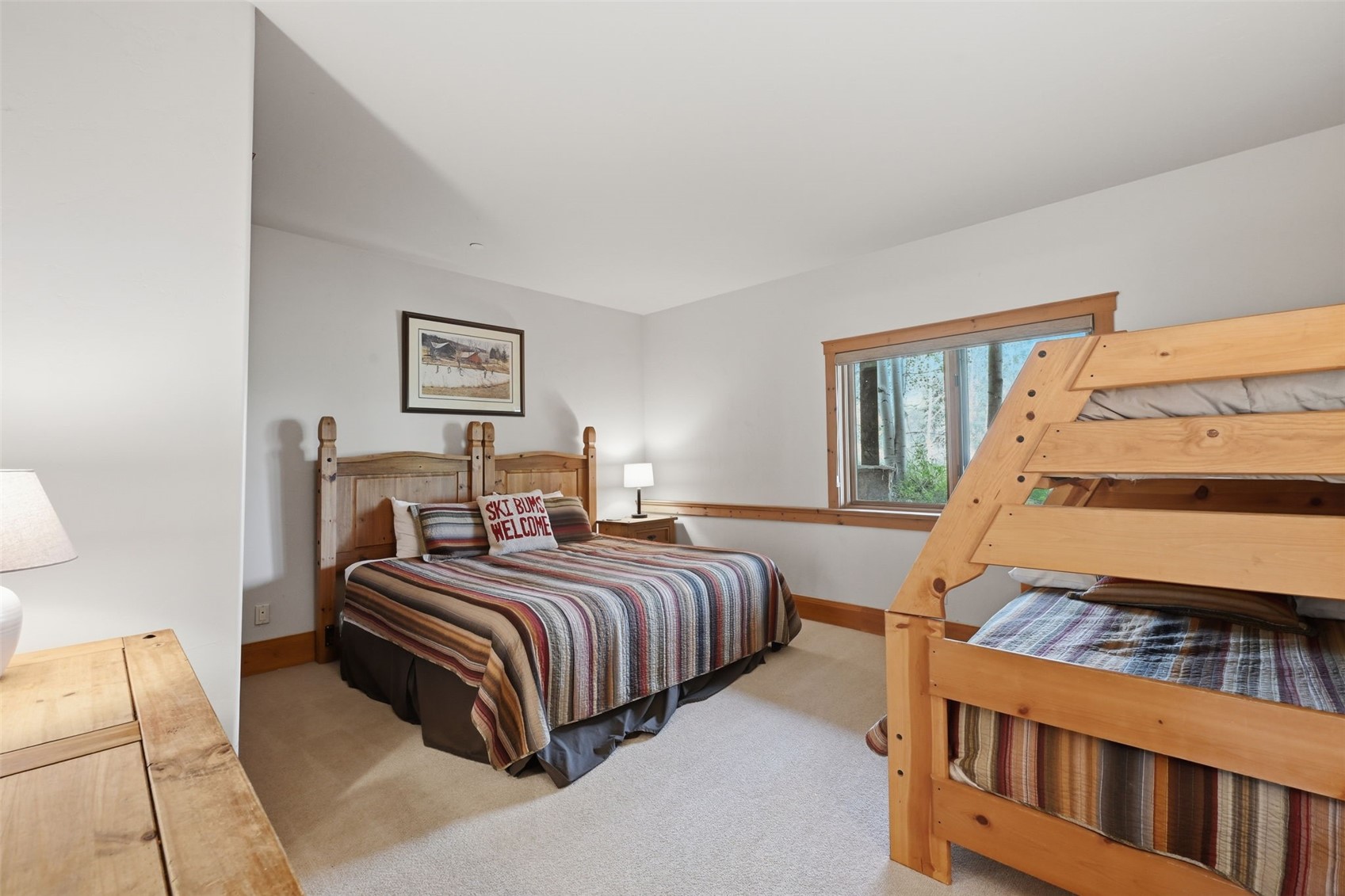 115 Arnica Lane Silverthorne CO 80498