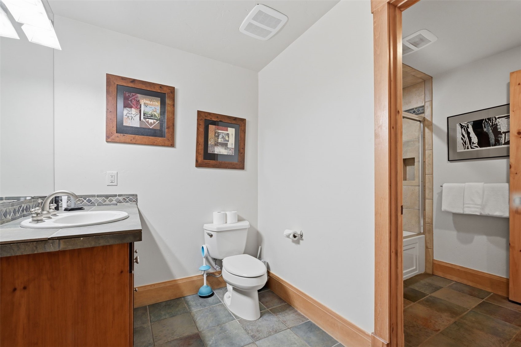 115 Arnica Lane Silverthorne CO 80498