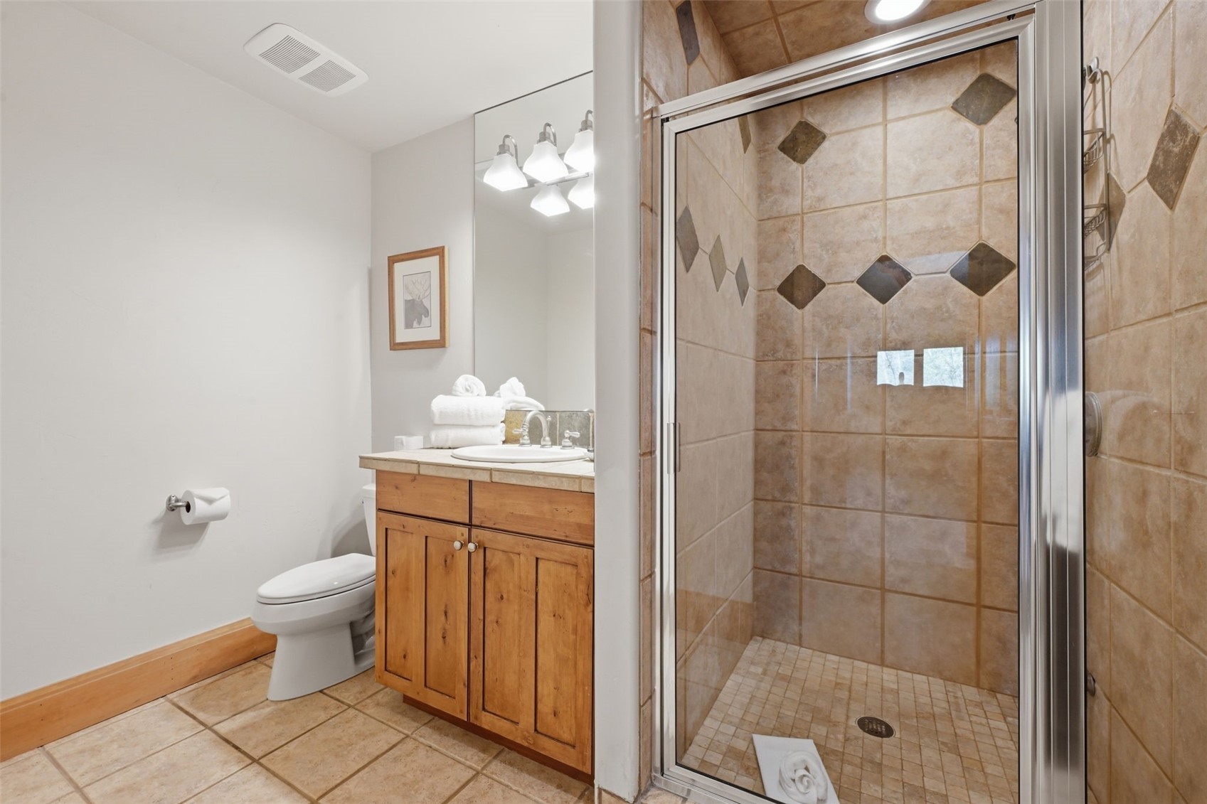 115 Arnica Lane Silverthorne CO 80498