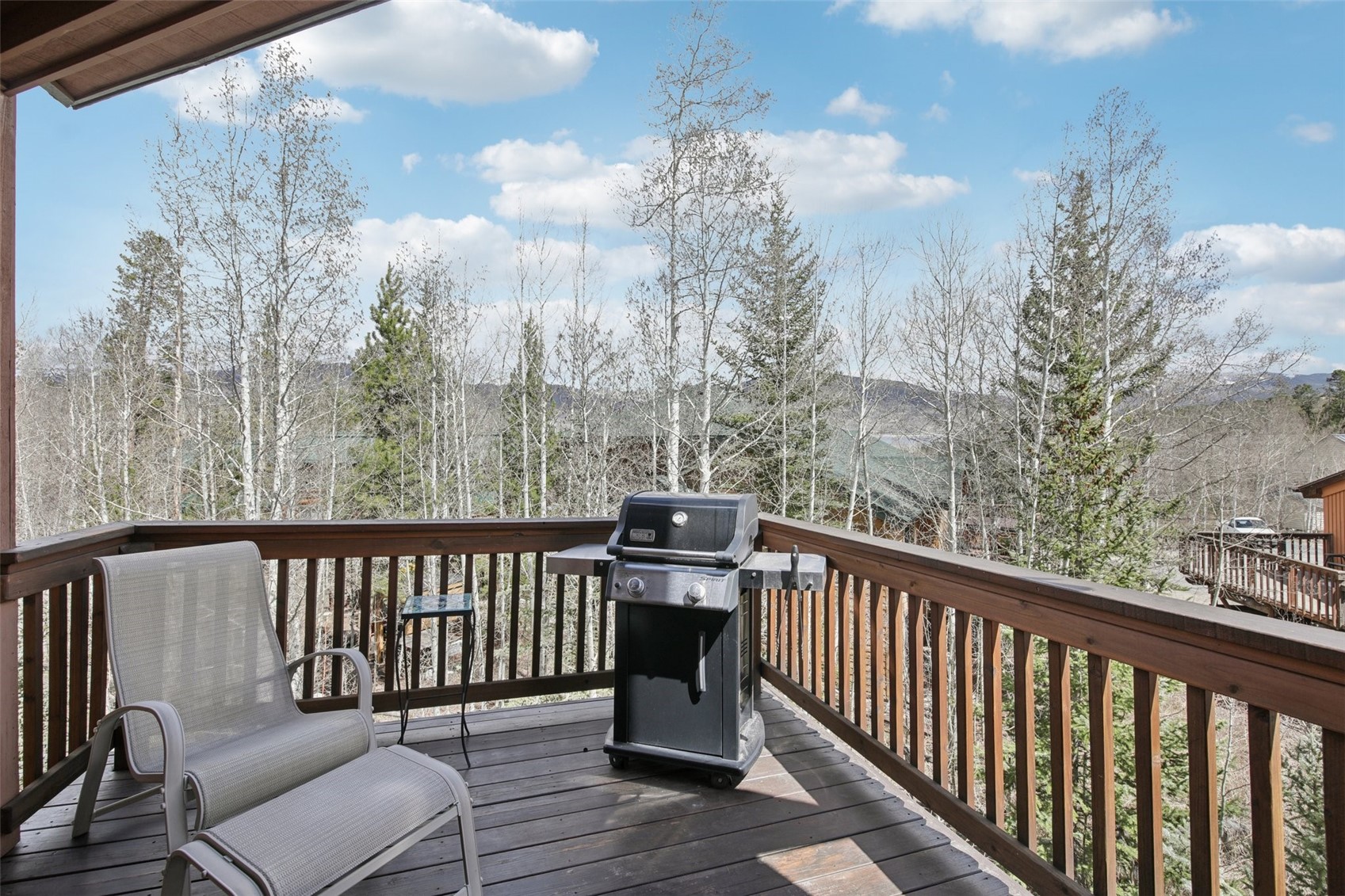 51 Sauterne Lane Silverthorne CO 80498
