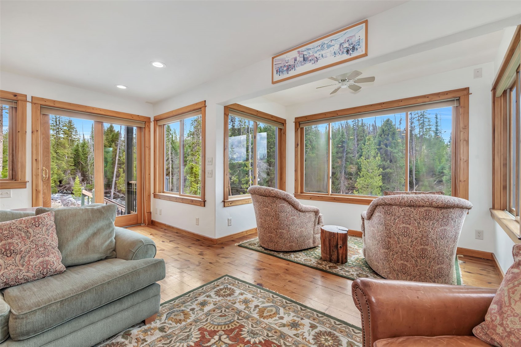 31405 Seedhouse Road Clark CO 80428