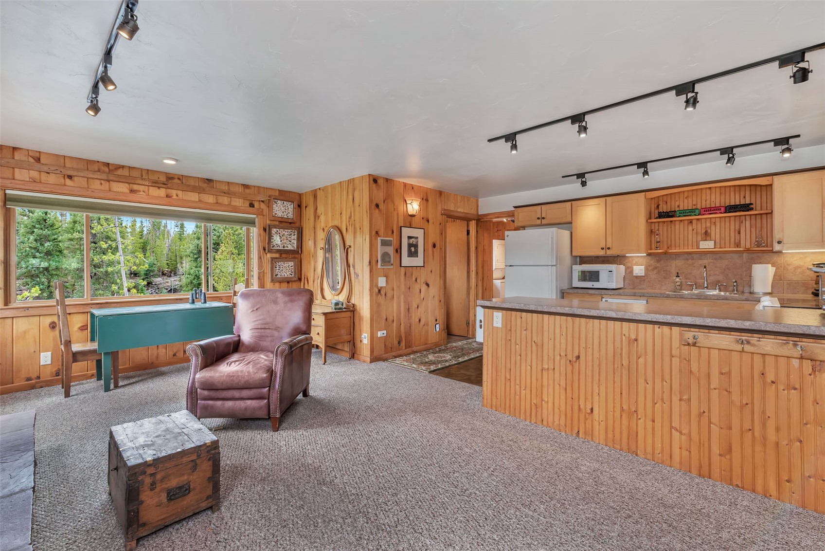 31405 Seedhouse Road Clark CO 80428