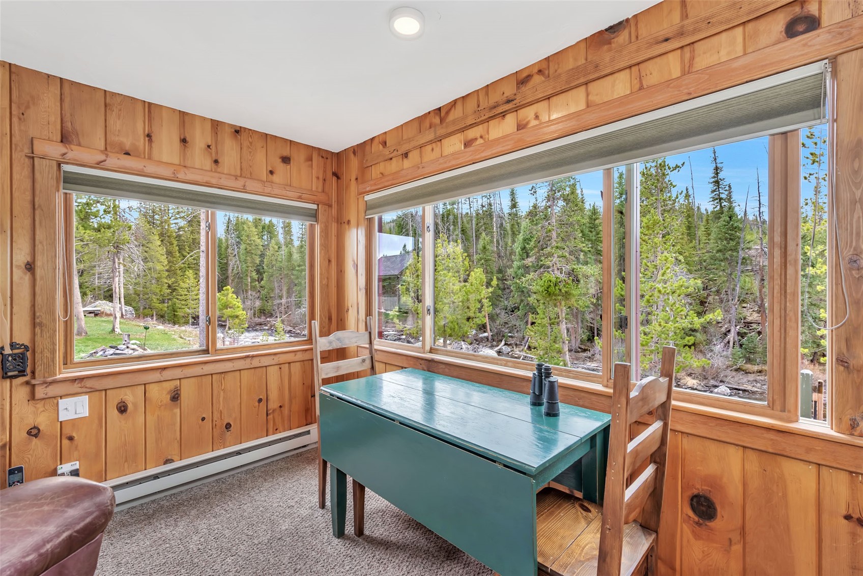 31405 Seedhouse Road Clark CO 80428