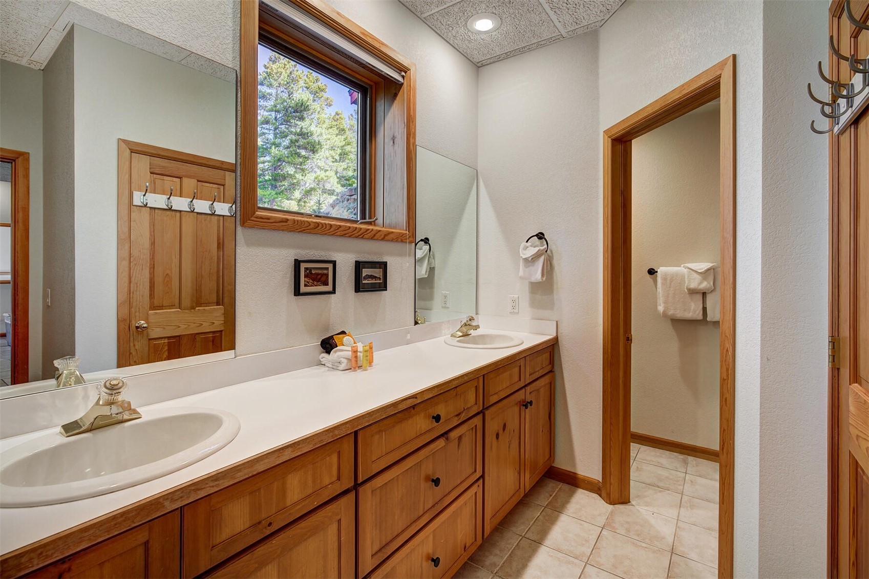 181 Red Fox Court Breckenridge CO 80424
