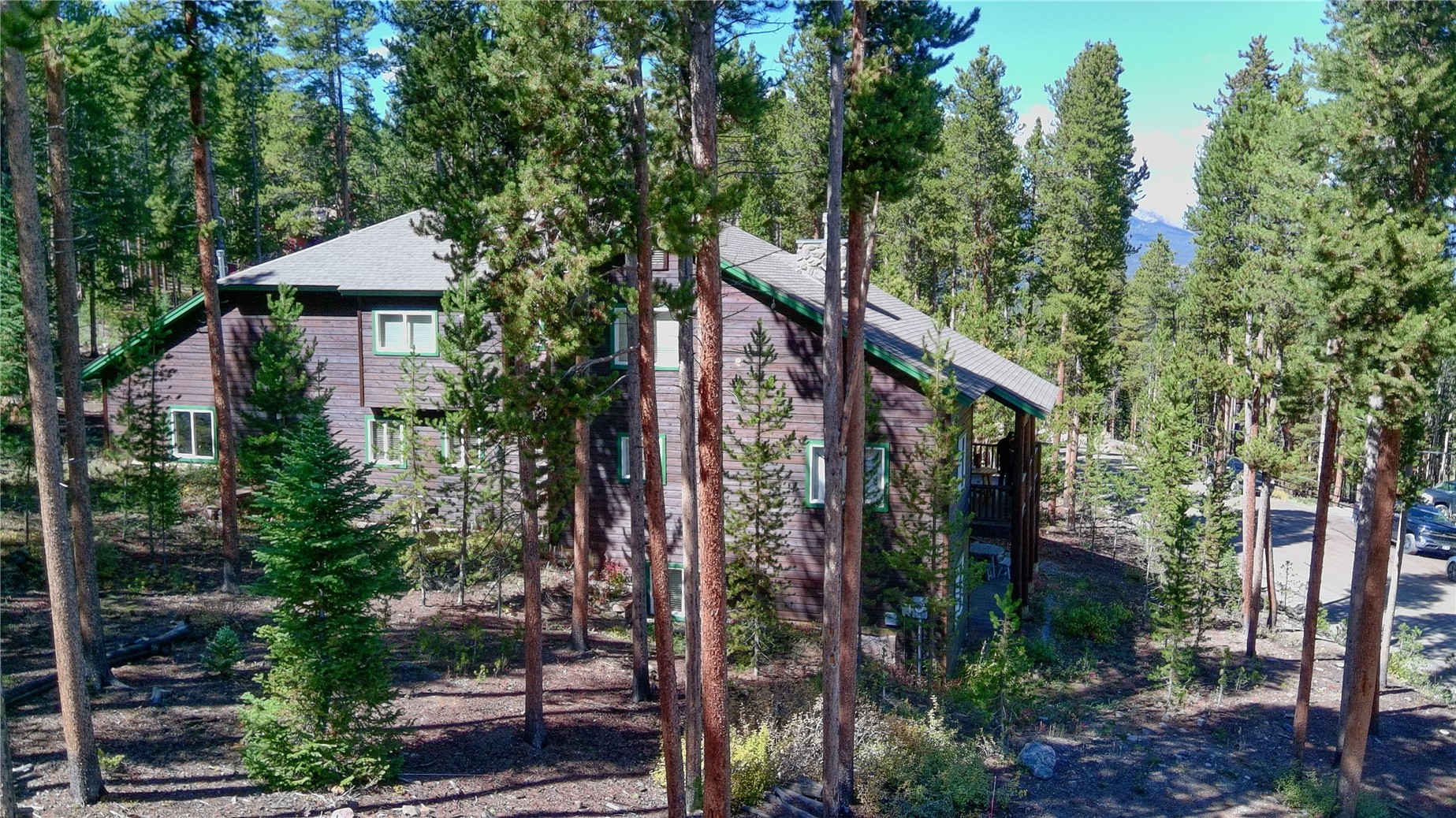 696 Moonstone Road Breckenridge CO 80424