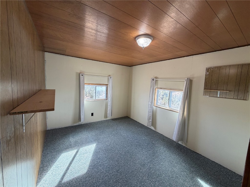 587 Willow Street Hartsel CO 80449