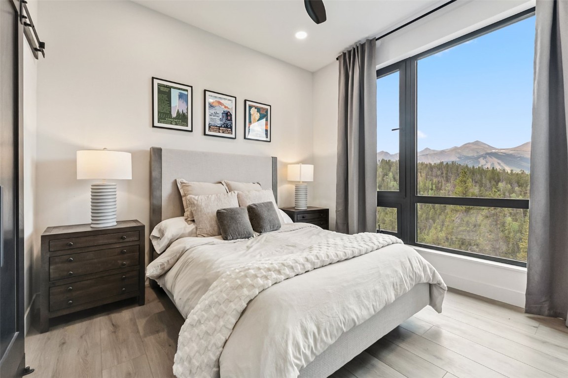 2520 Boreas Pass Road Breckenridge CO 80424