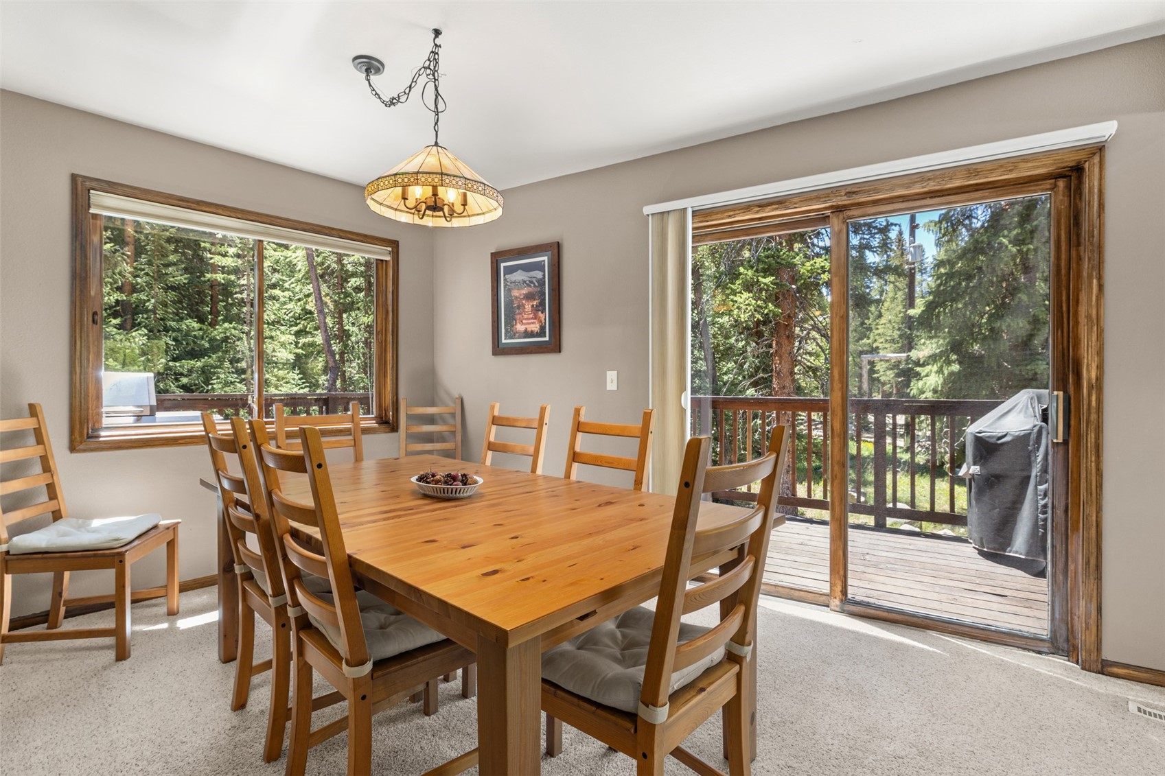 509 Mountain View Trail Breckenridge CO 80424