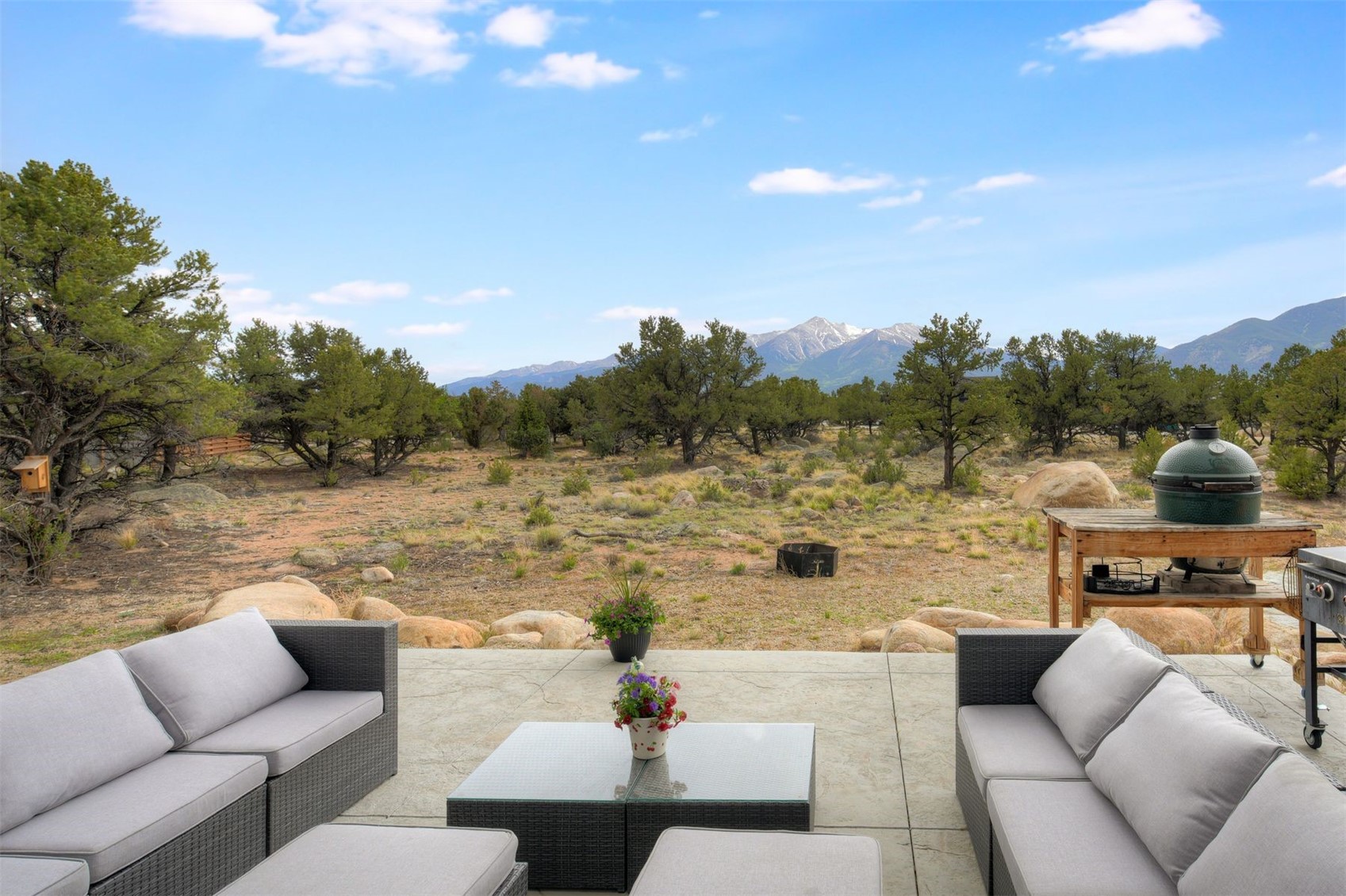 29951 Teal Run Buena Vista CO 81211