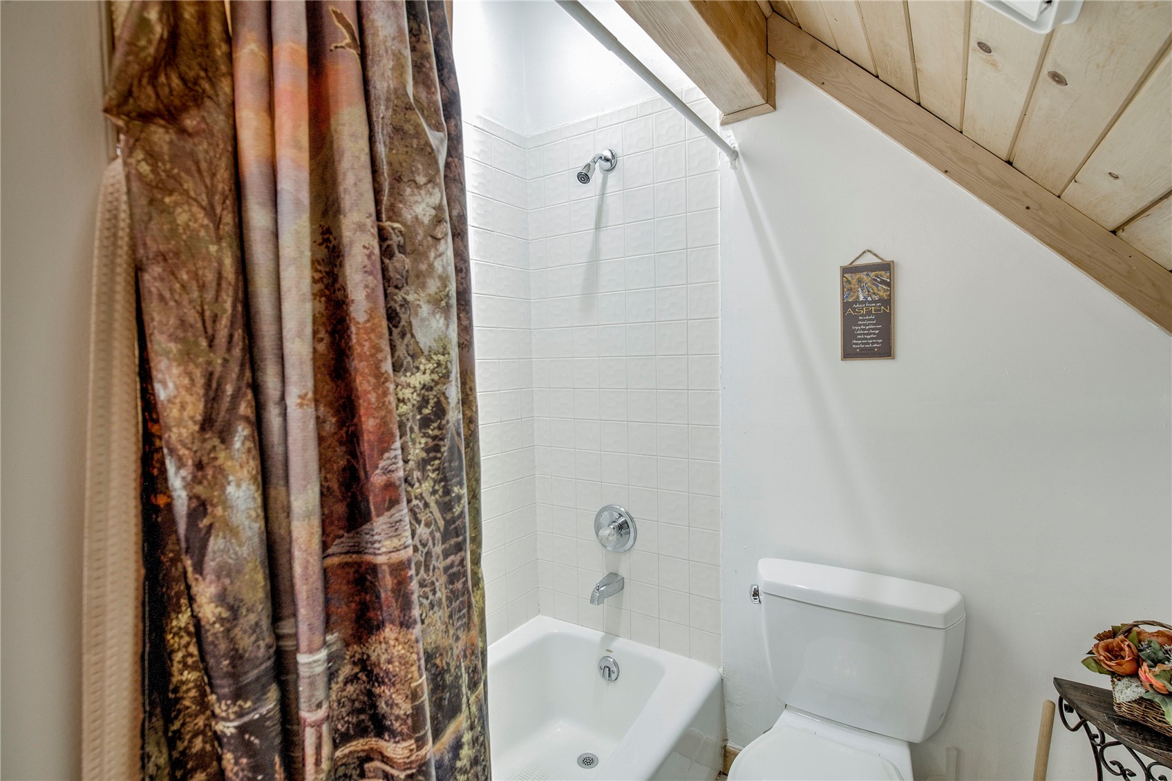 146 Protector Place Breckenridge CO 80424