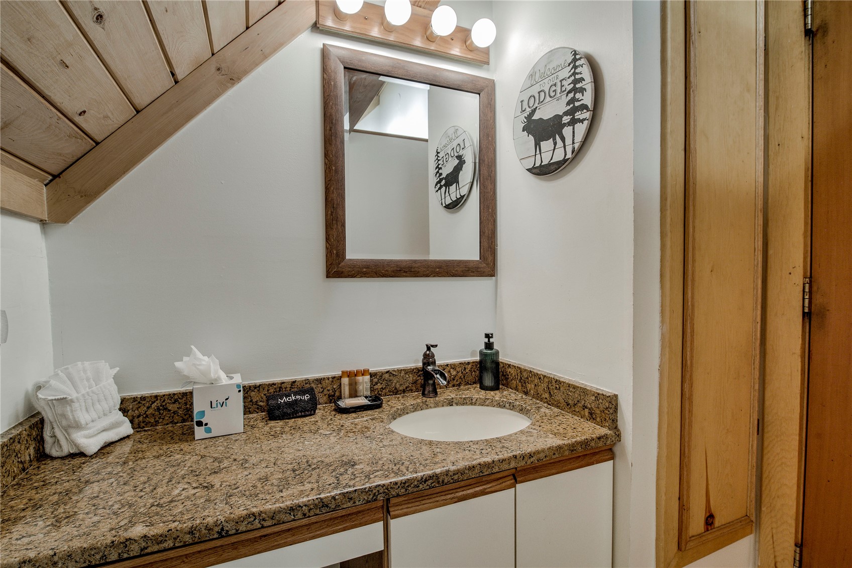146 Protector Place Breckenridge CO 80424