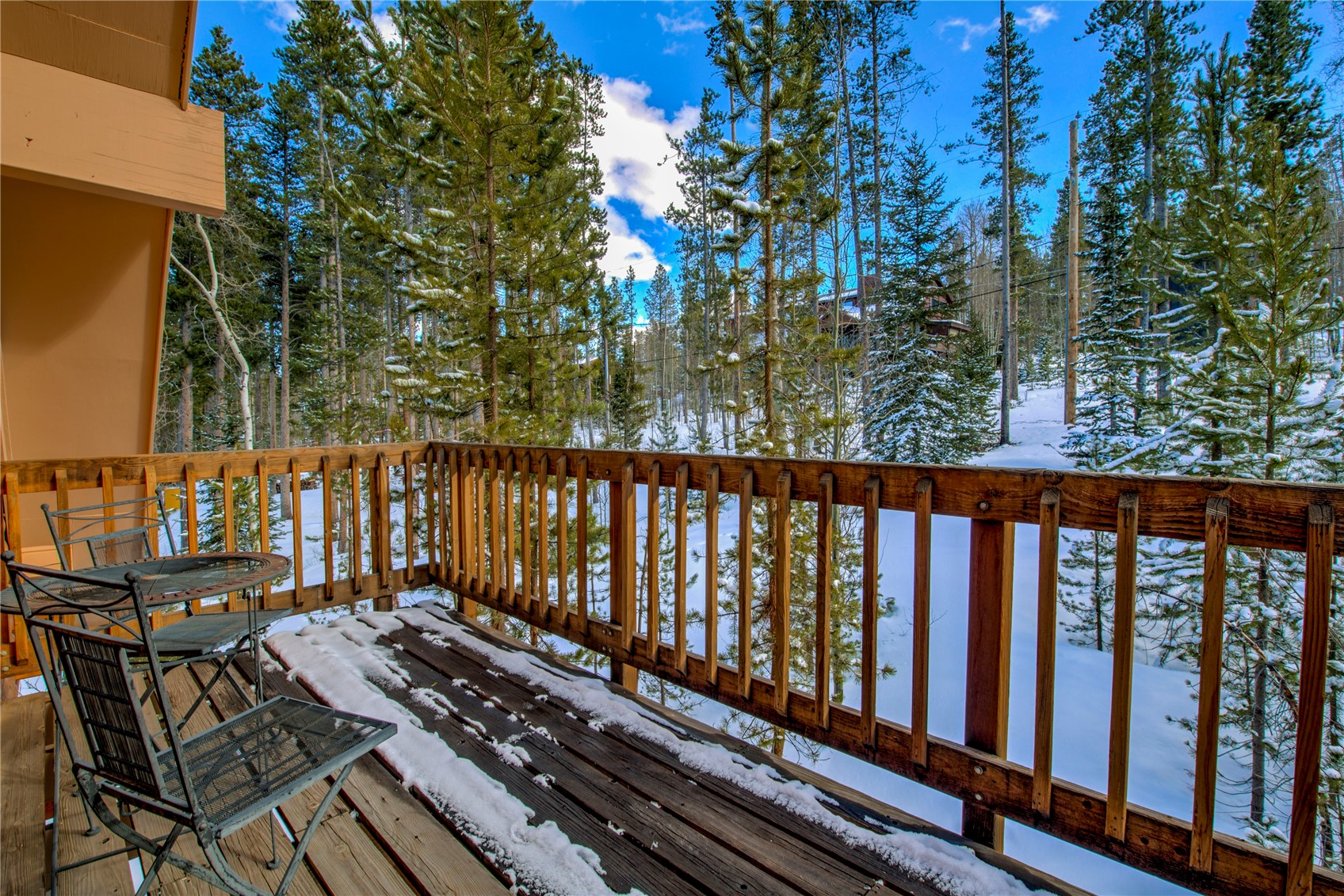 146 Protector Place Breckenridge CO 80424