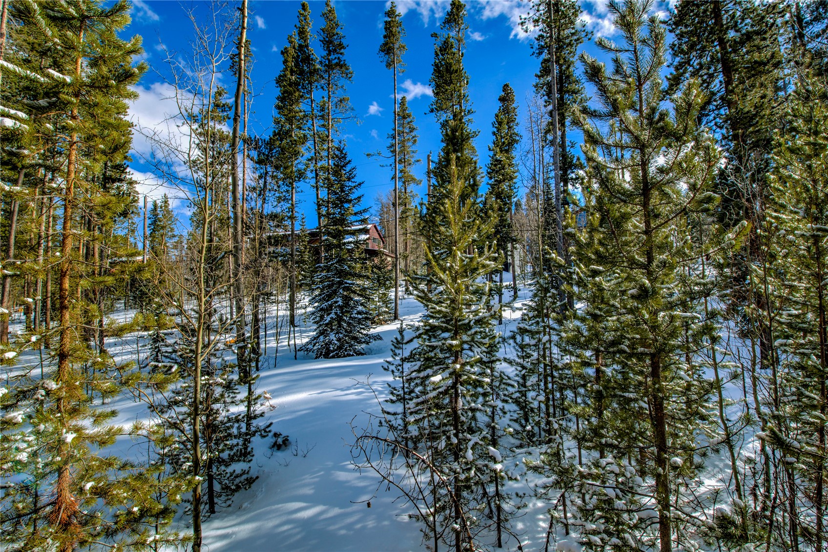 146 Protector Place Breckenridge CO 80424