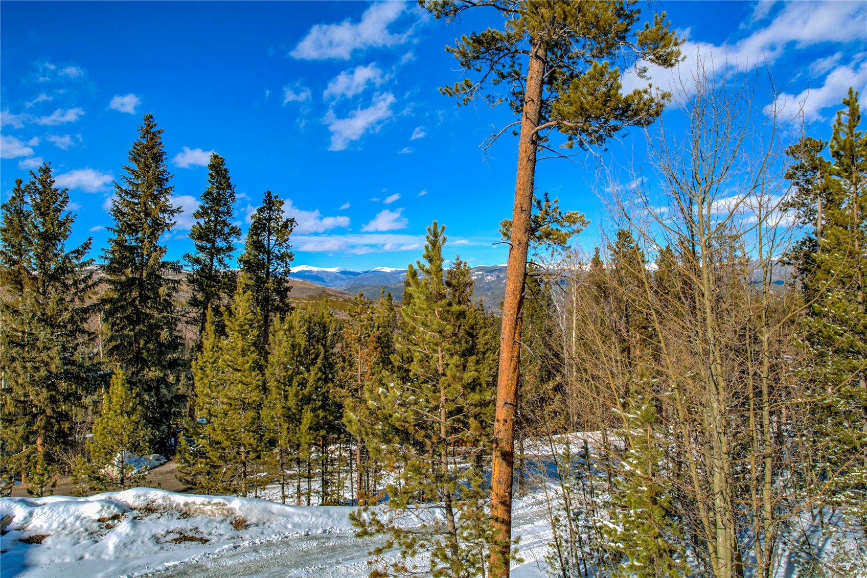 146 Protector Place Breckenridge CO 80424