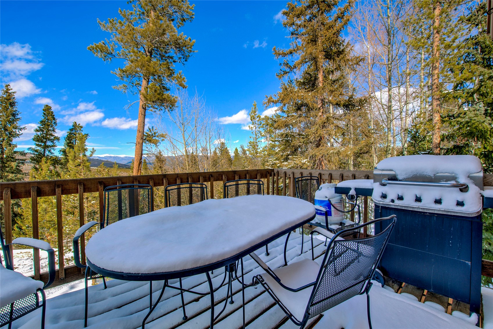 146 Protector Place Breckenridge CO 80424