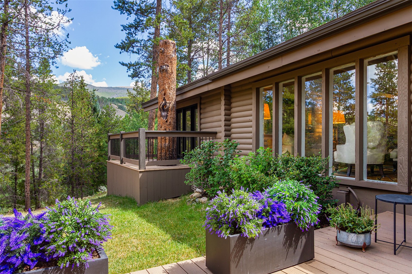 23 Wild Irishman Lane Keystone CO 80435
