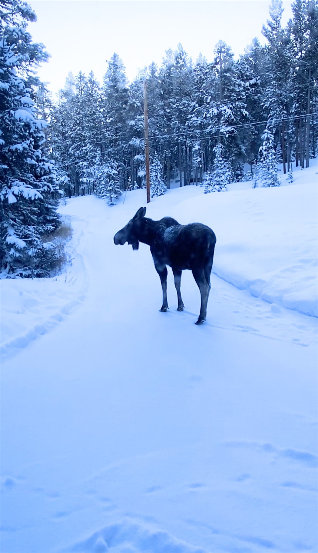 457 Moonstone Road Breckenridge CO 80424