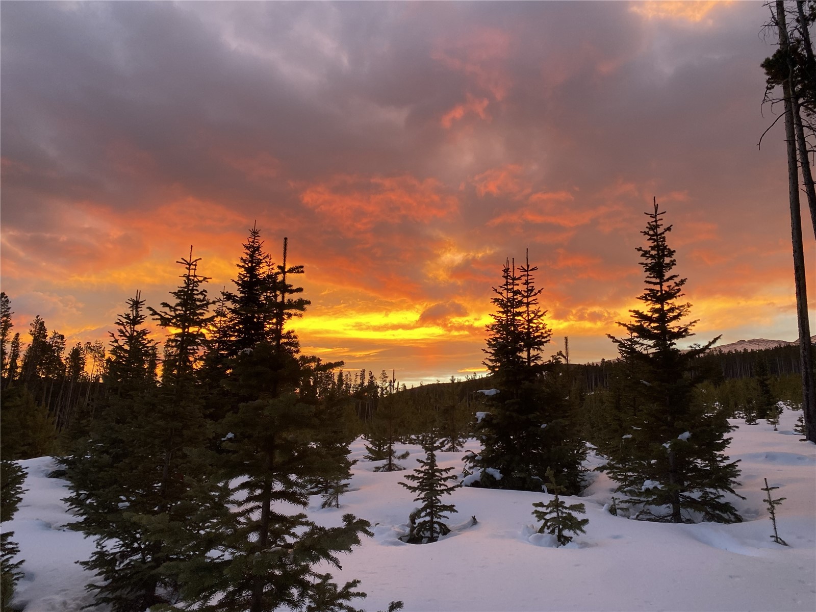 457 Moonstone Road Breckenridge CO 80424