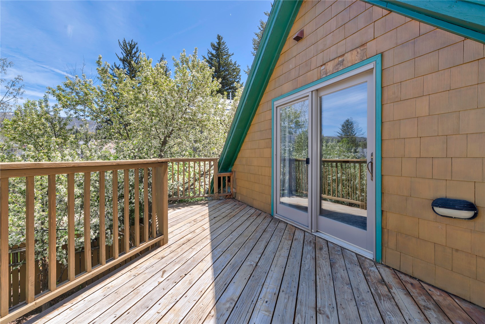 234 Hill Street Steamboat Springs CO 80487