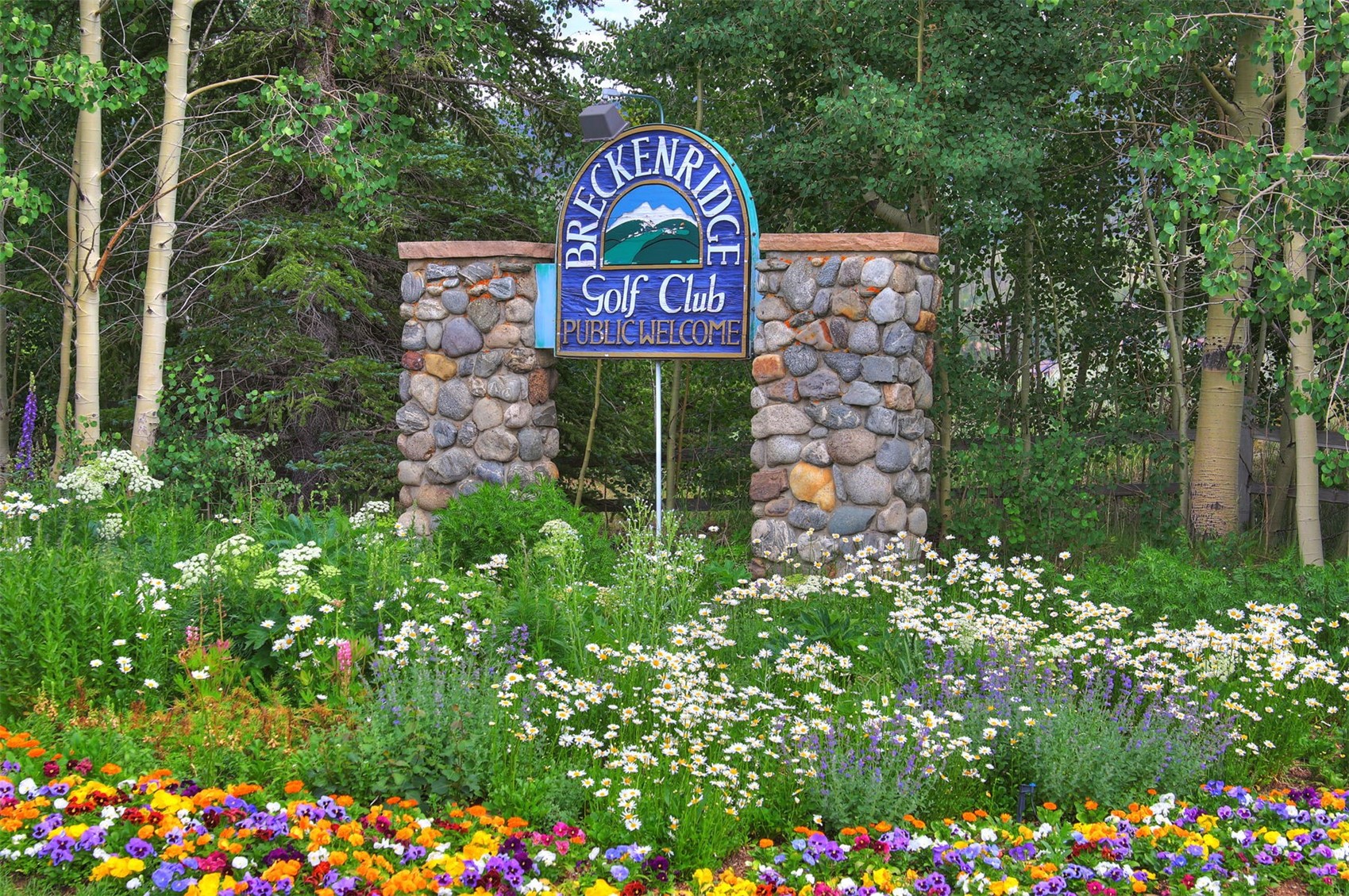 63 North Road Breckenridge CO 80424