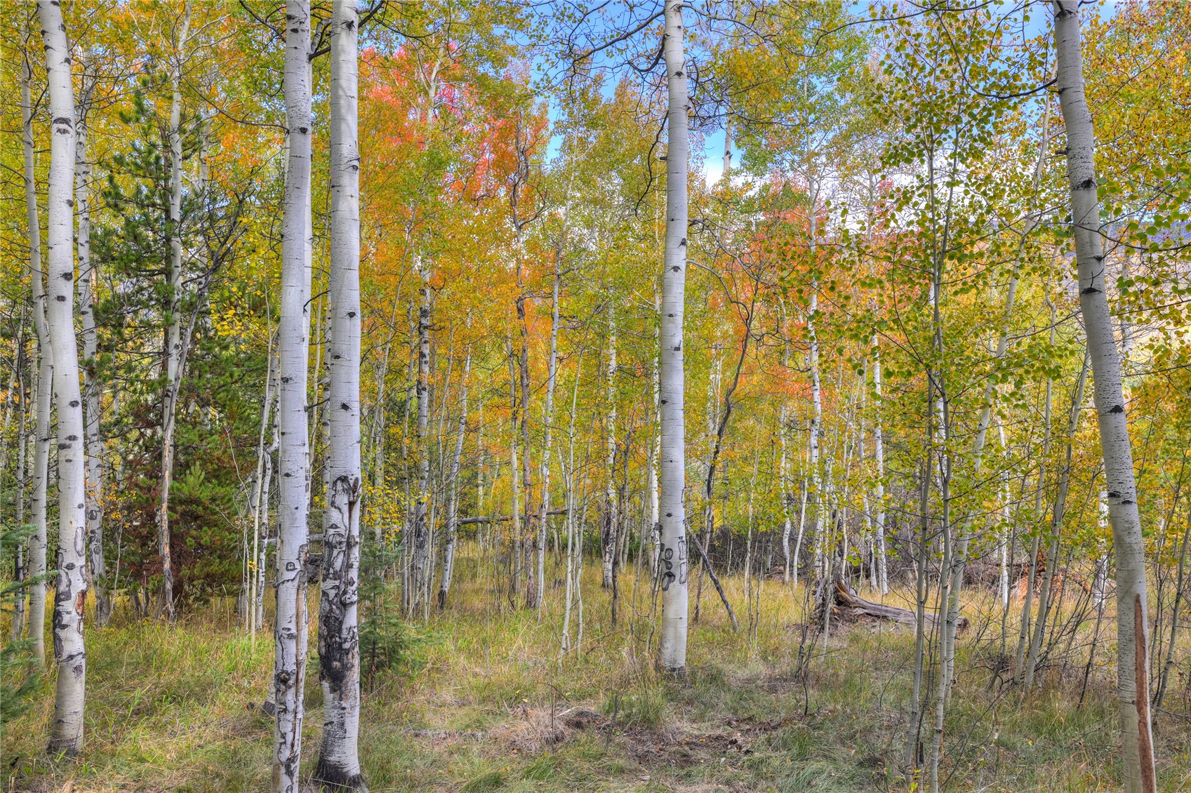 185 Easy Bend Trail Silverthorne CO 80498
