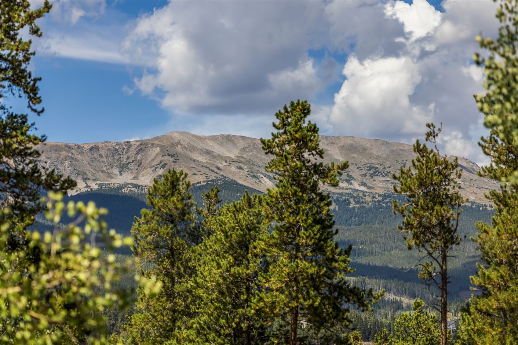 210 S Gold Flake Terrace Breckenridge CO 80424