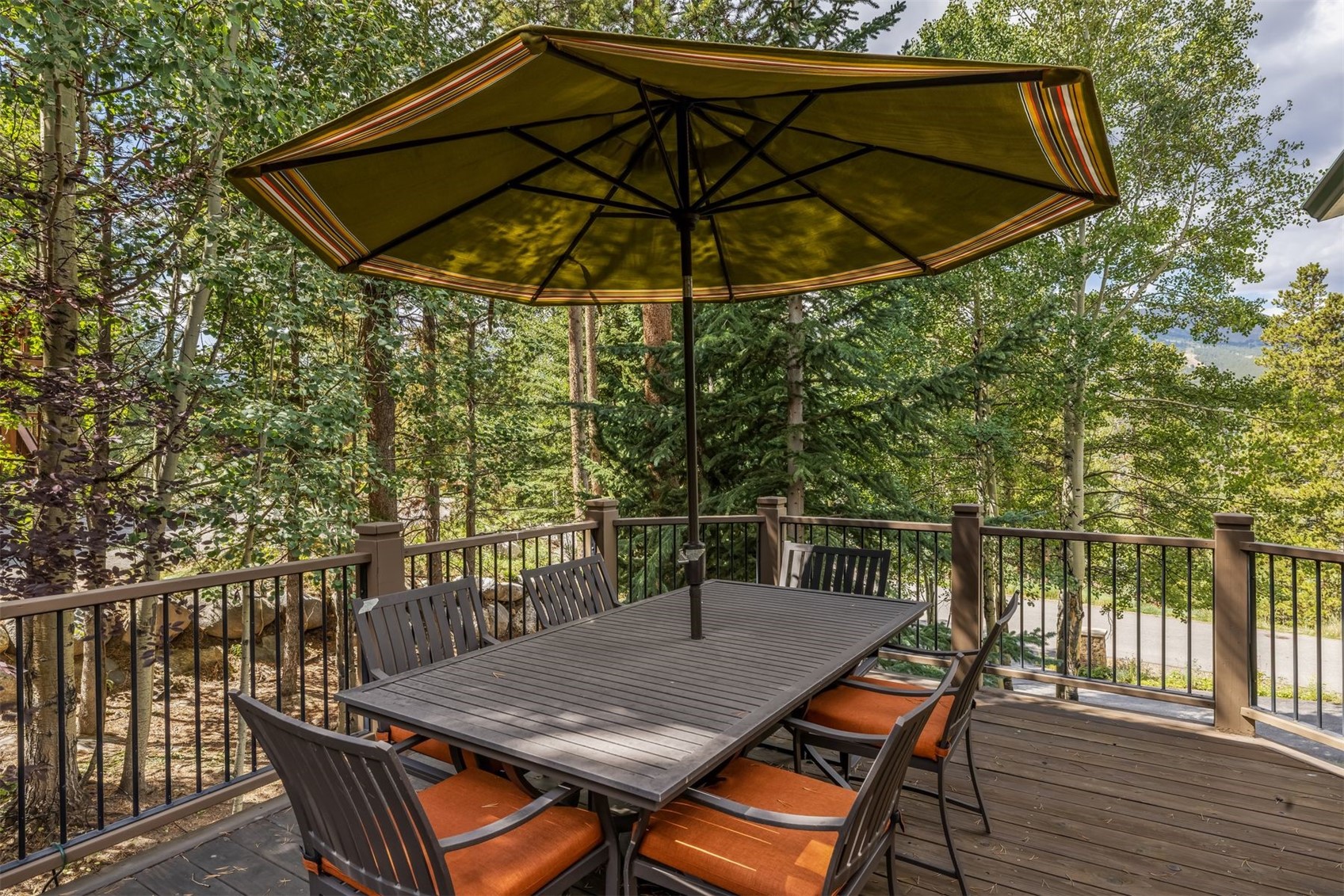 210 S Gold Flake Terrace Breckenridge CO 80424