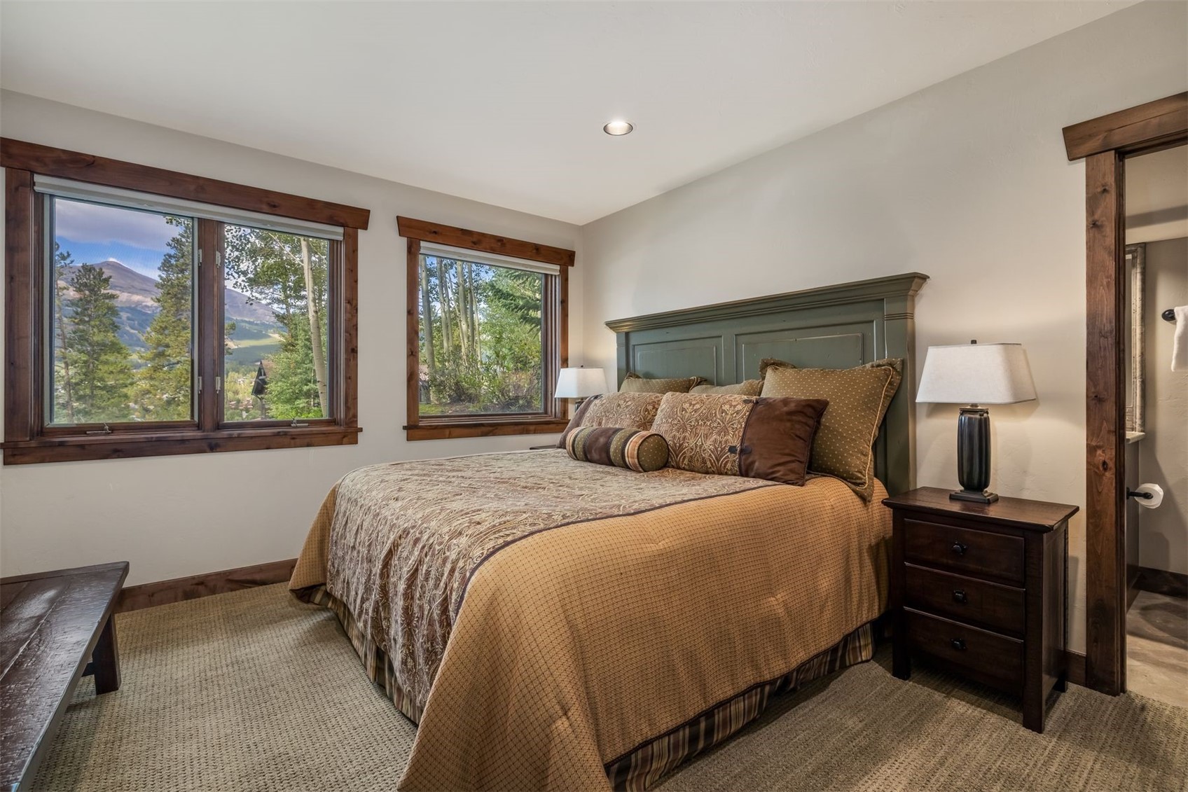 210 S Gold Flake Terrace Breckenridge CO 80424