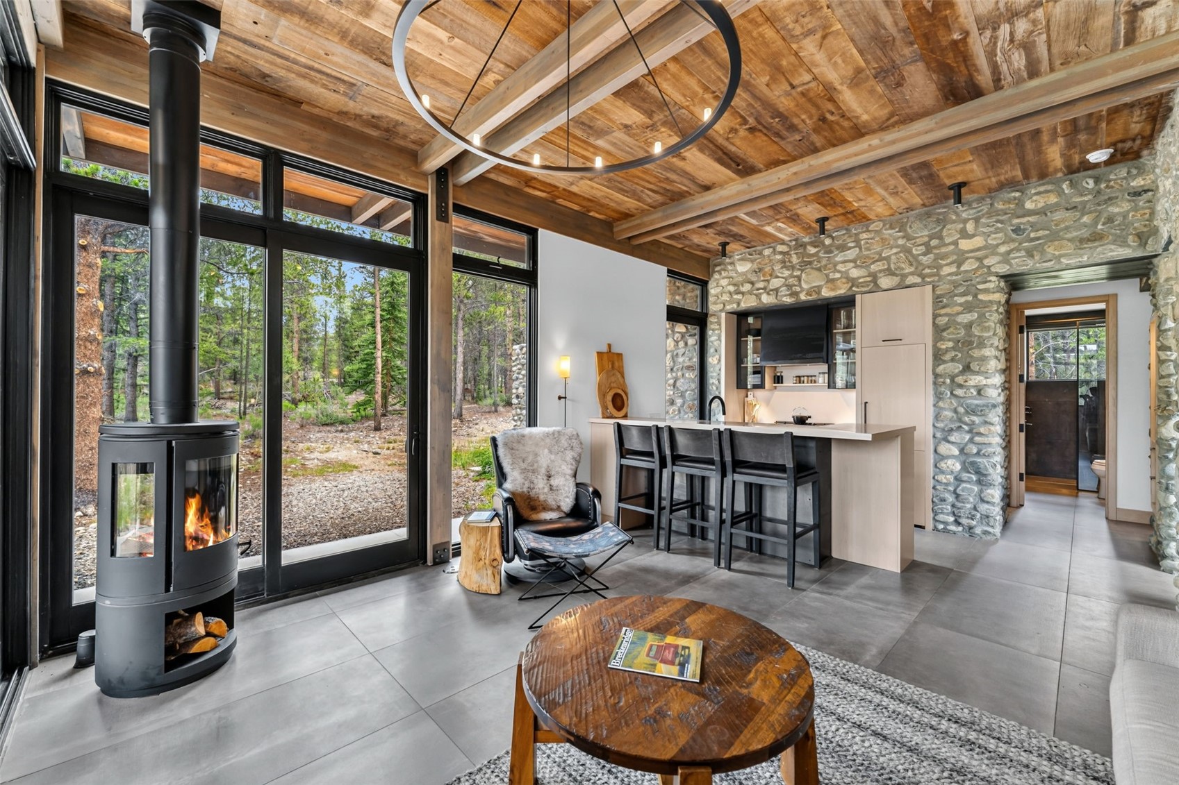 2383 Tiger Road Breckenridge CO 80424