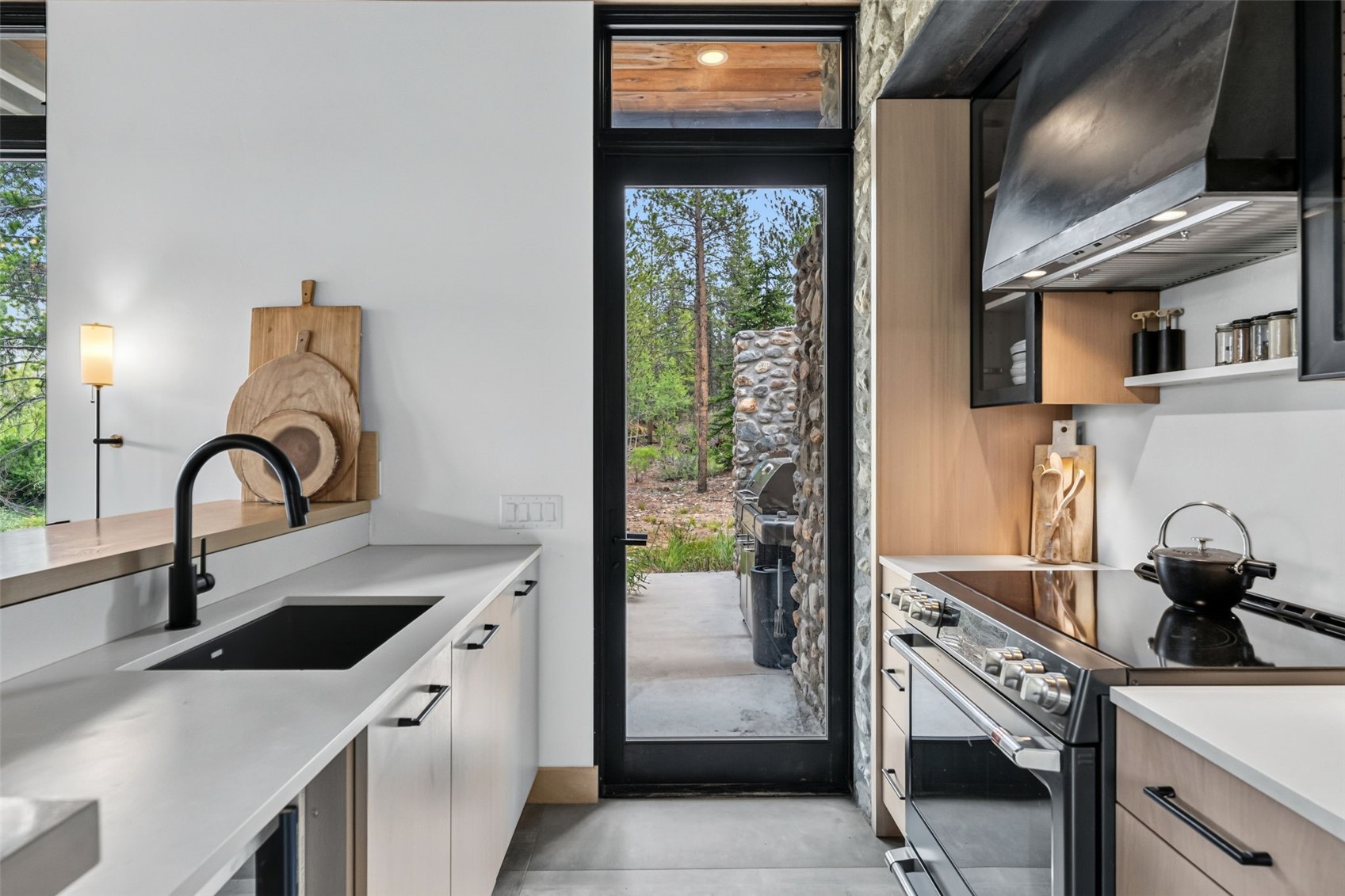 2383 Tiger Road Breckenridge CO 80424