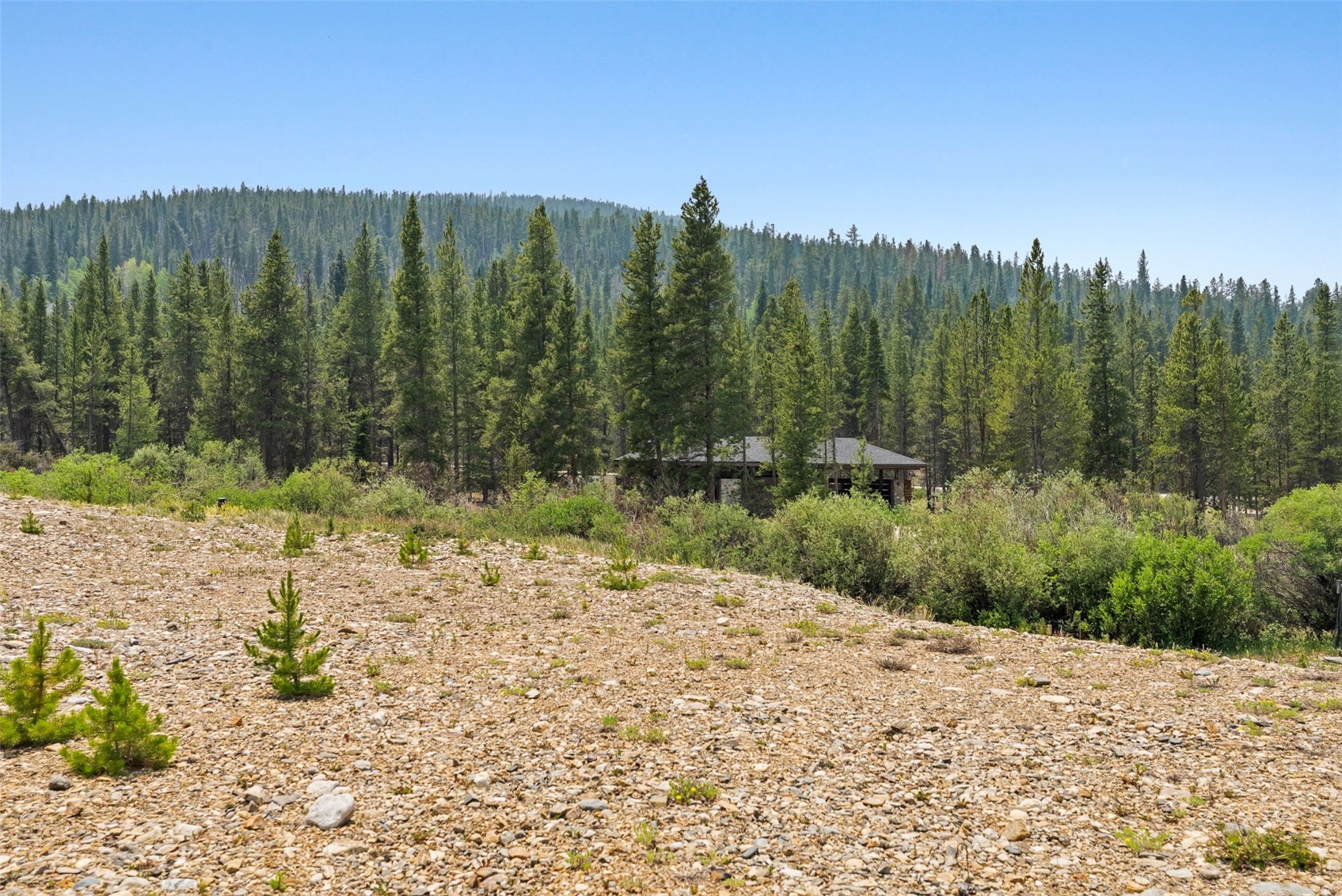 2383 Tiger Road Breckenridge CO 80424