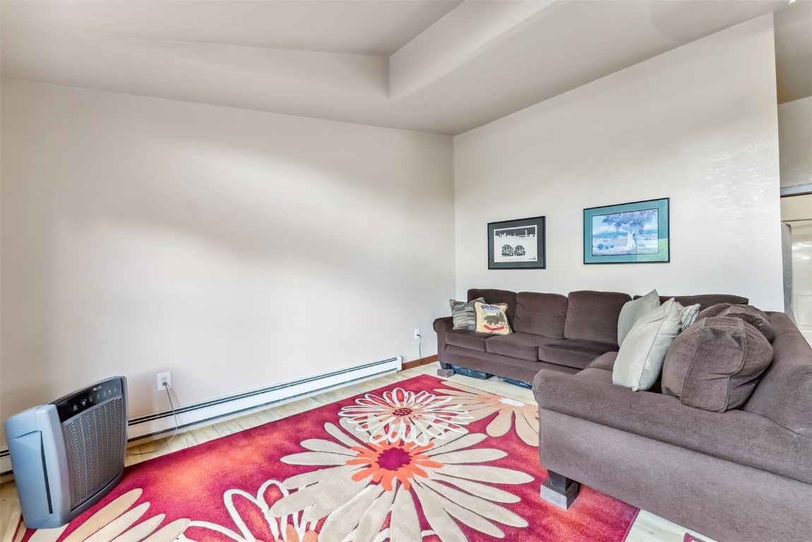 245 Tennis Court Silverthorne CO 80498