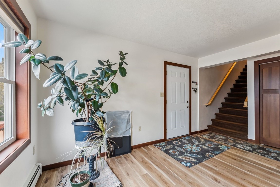 245 Tennis Court Silverthorne CO 80498