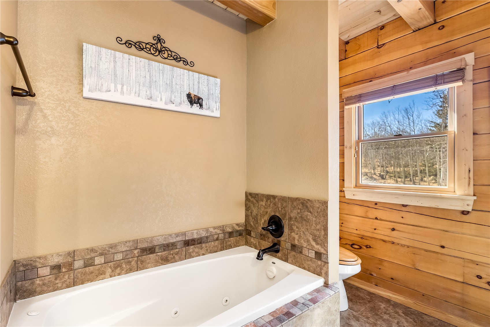 1059 Sheep Ridge Road Fairplay CO 80440