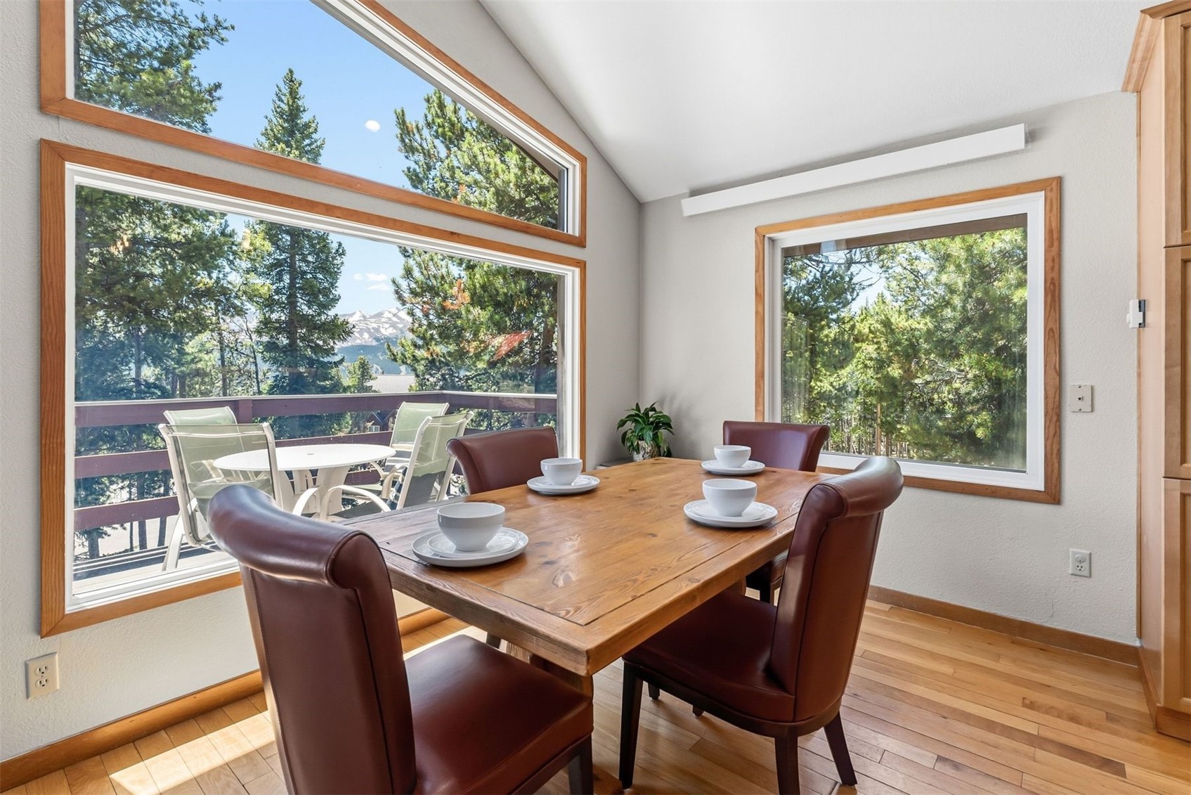 1233 Baldy Road Breckenridge CO 80424