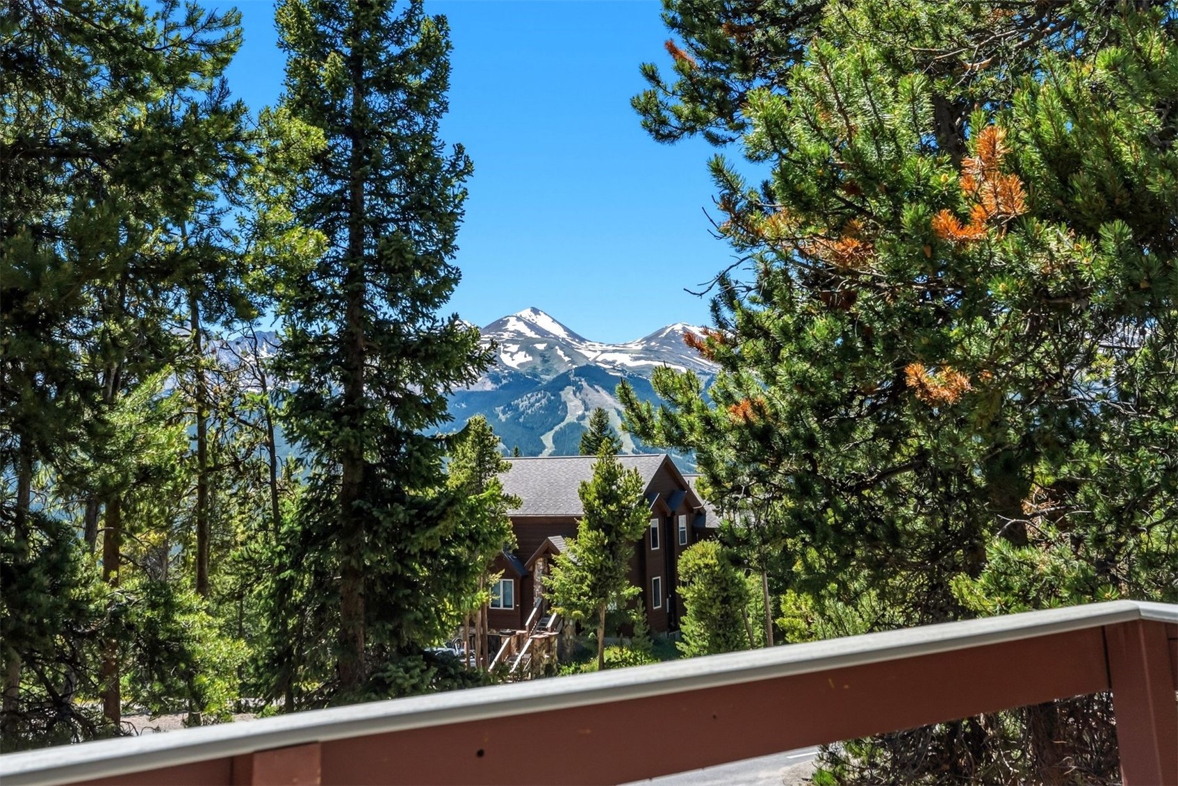 1233 Baldy Road Breckenridge CO 80424