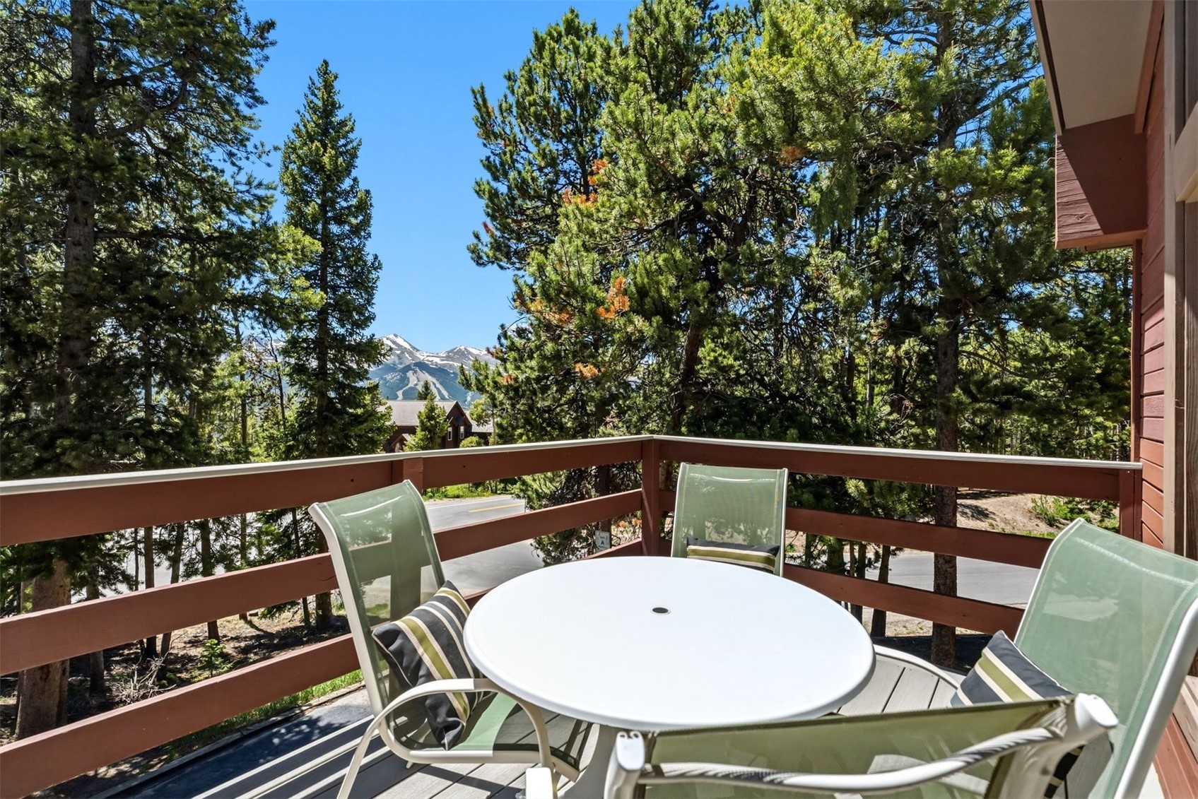 1233 Baldy Road Breckenridge CO 80424