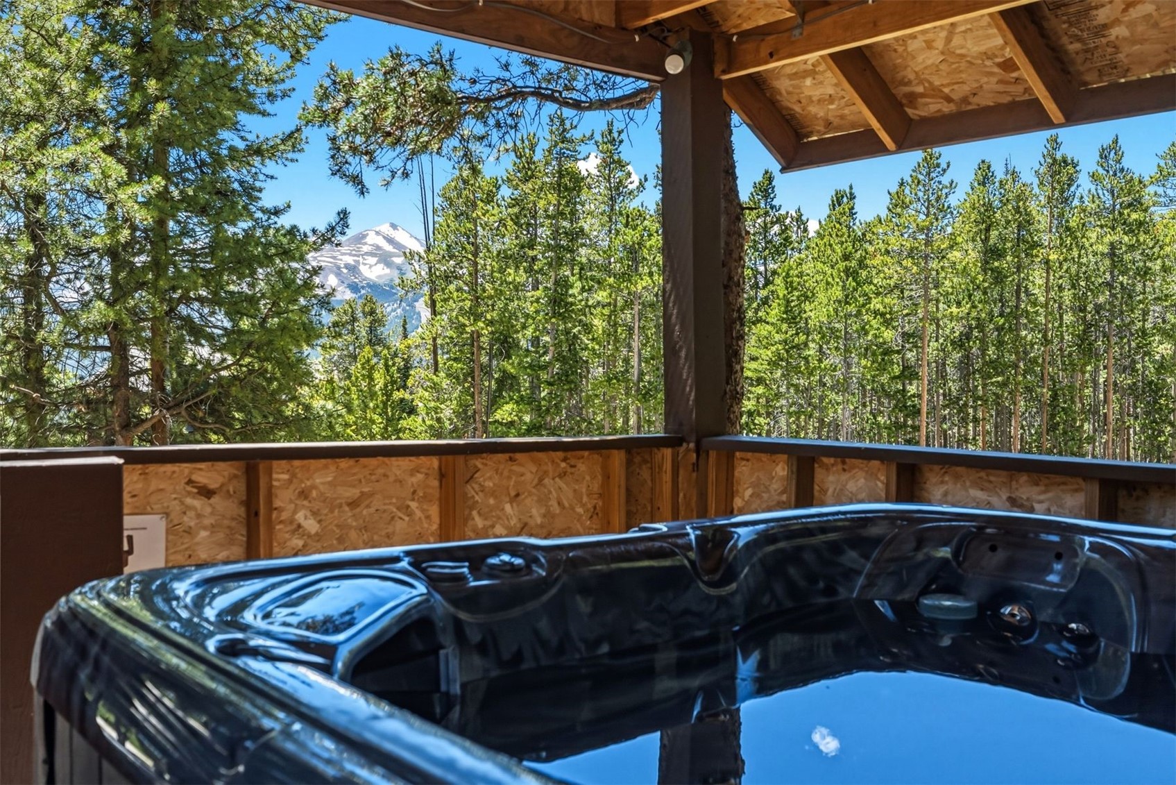 1233 Baldy Road Breckenridge CO 80424