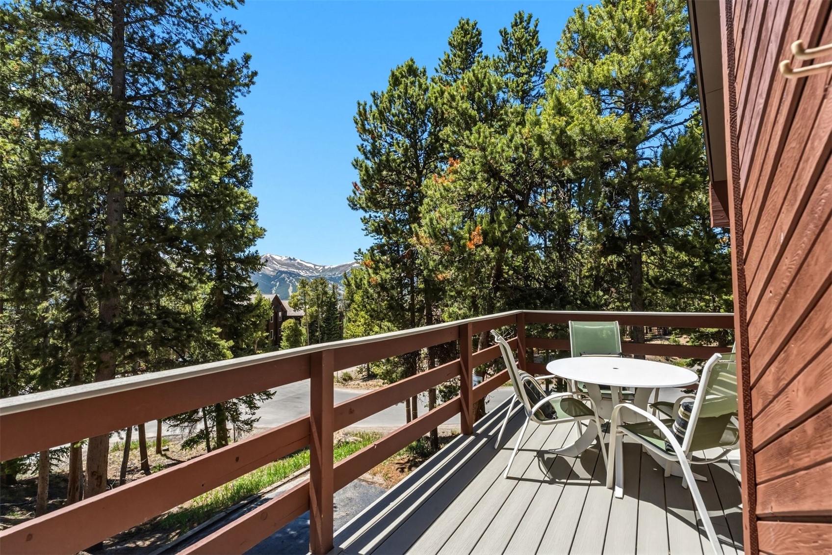 1233 Baldy Road Breckenridge CO 80424