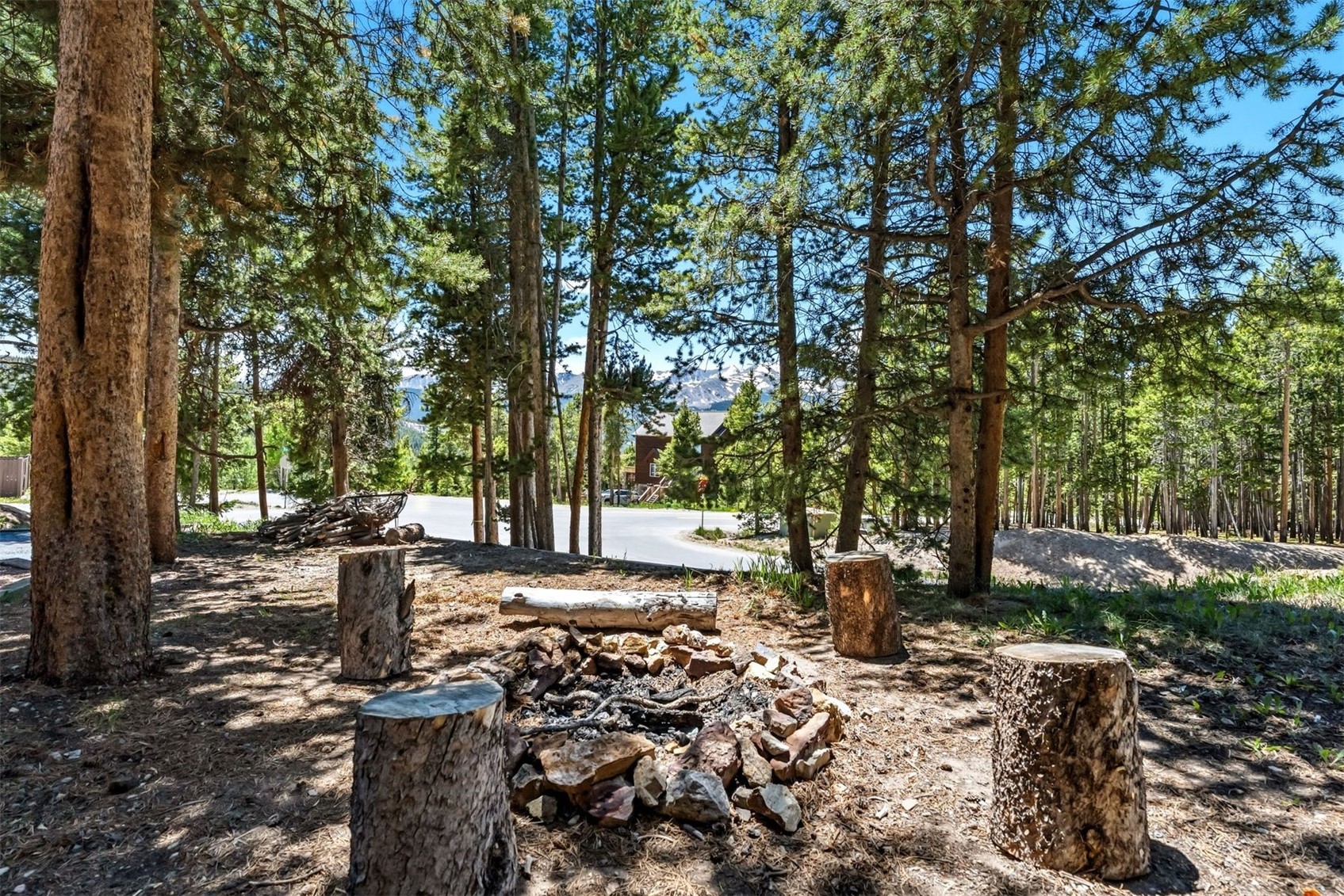 1233 Baldy Road Breckenridge CO 80424
