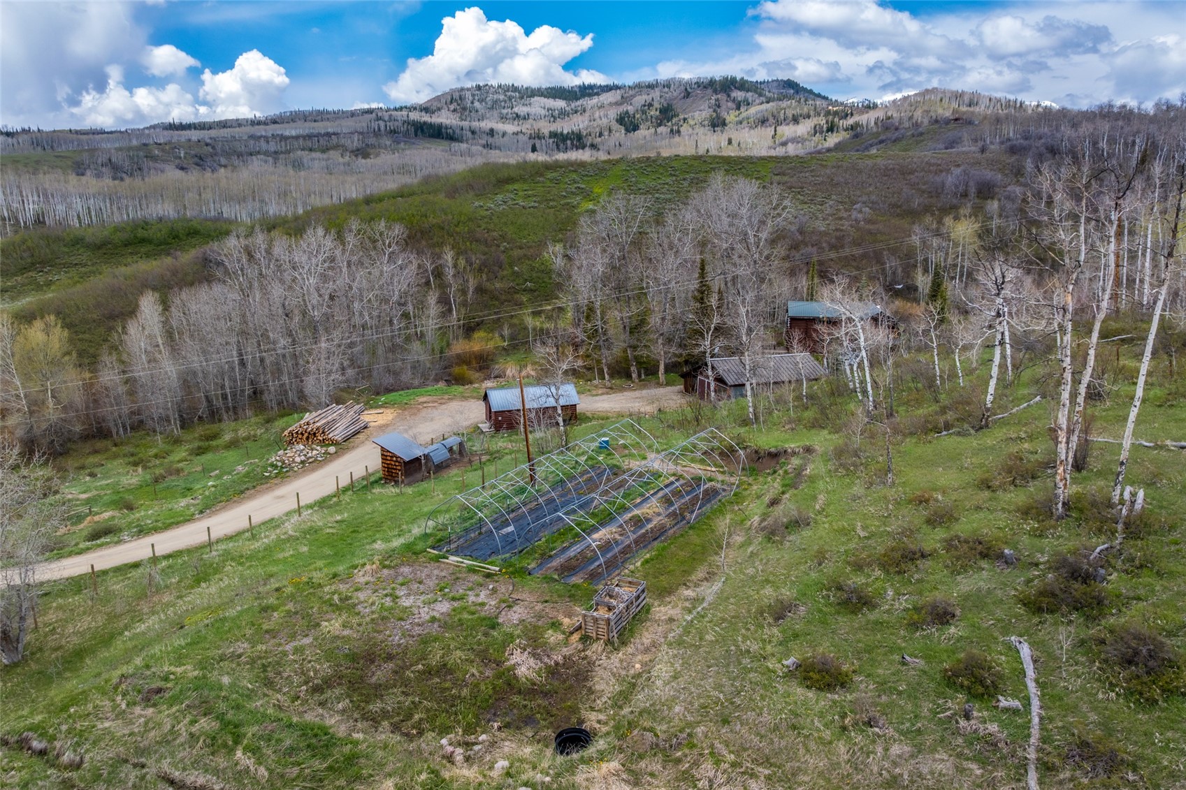 56475 County Road 62 Clark CO 80428
