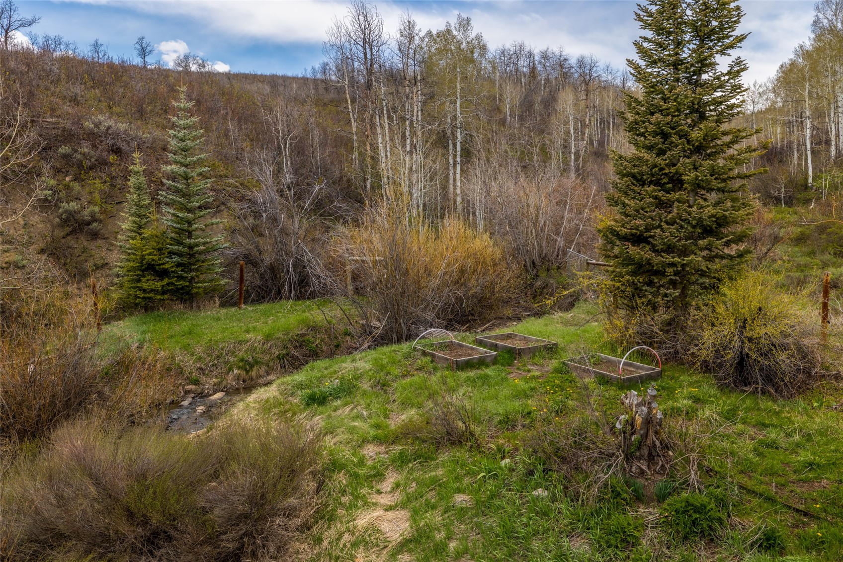 56475 County Road 62 Clark CO 80428